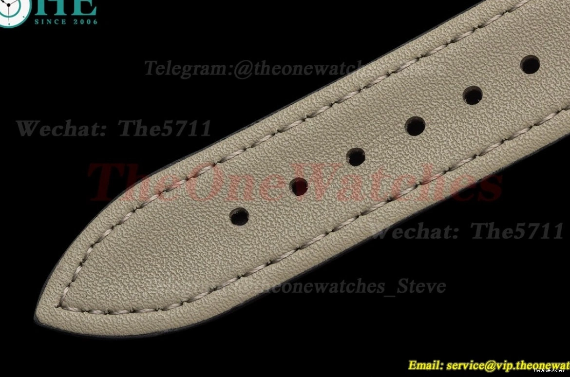 PVD Gradient Seamaster Blue Dial GDF 41mm MY8215 LE 0311